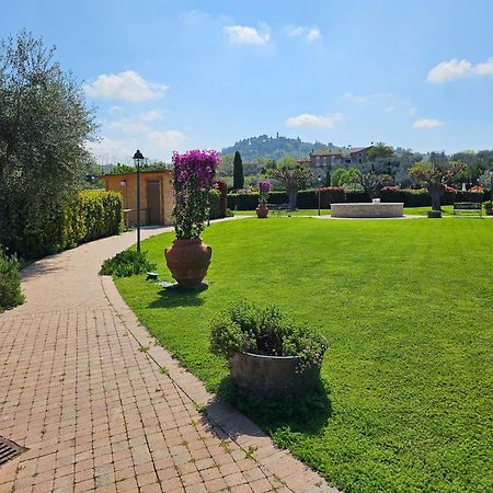 Valle Del Metauro Country House Montemaggiore al Metauro Eksteriør billede