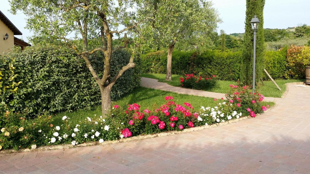 Valle Del Metauro Country House Montemaggiore al Metauro Eksteriør billede