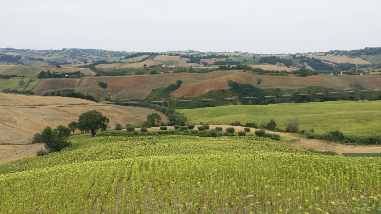 Valle Del Metauro Country House Montemaggiore al Metauro Eksteriør billede