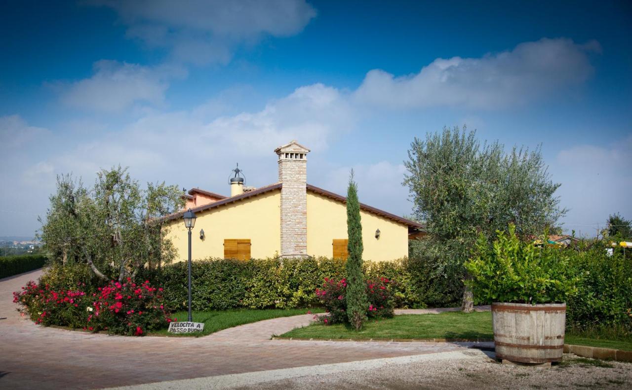 Valle Del Metauro Country House Montemaggiore al Metauro Eksteriør billede